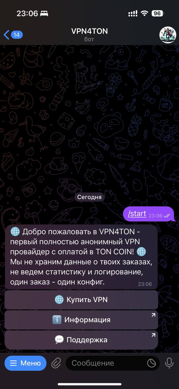 VPN4TON App Image
