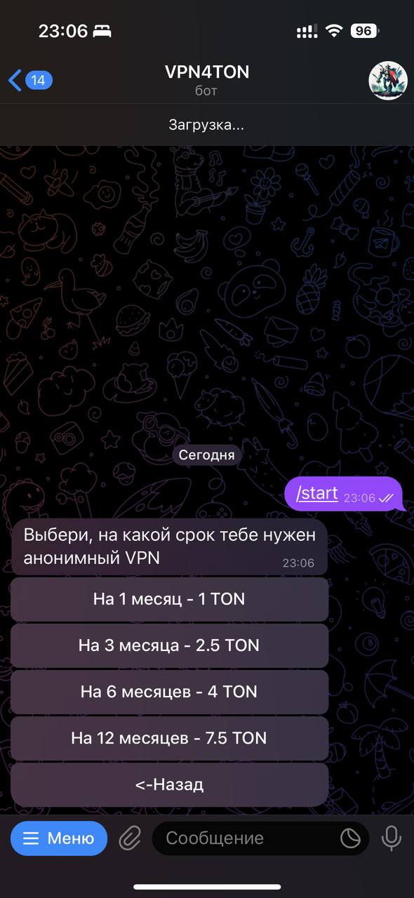 VPN4TON App Image