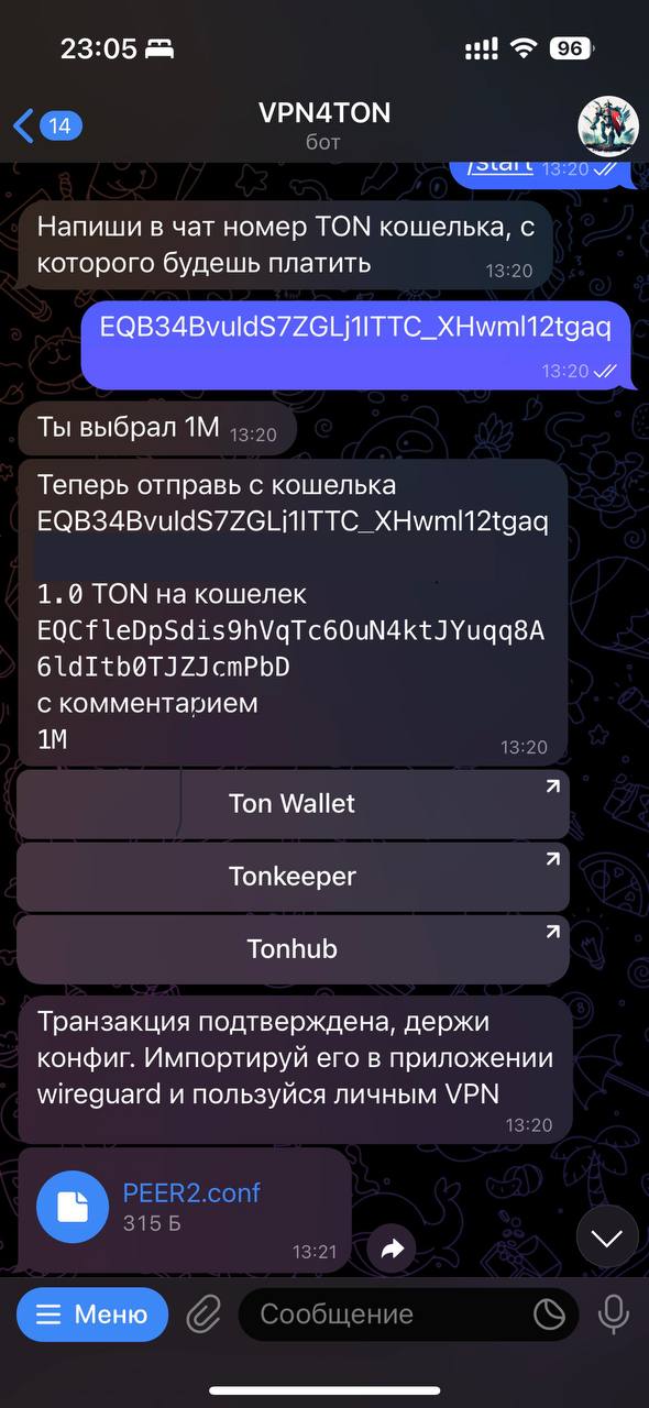 VPN4TON App Image
