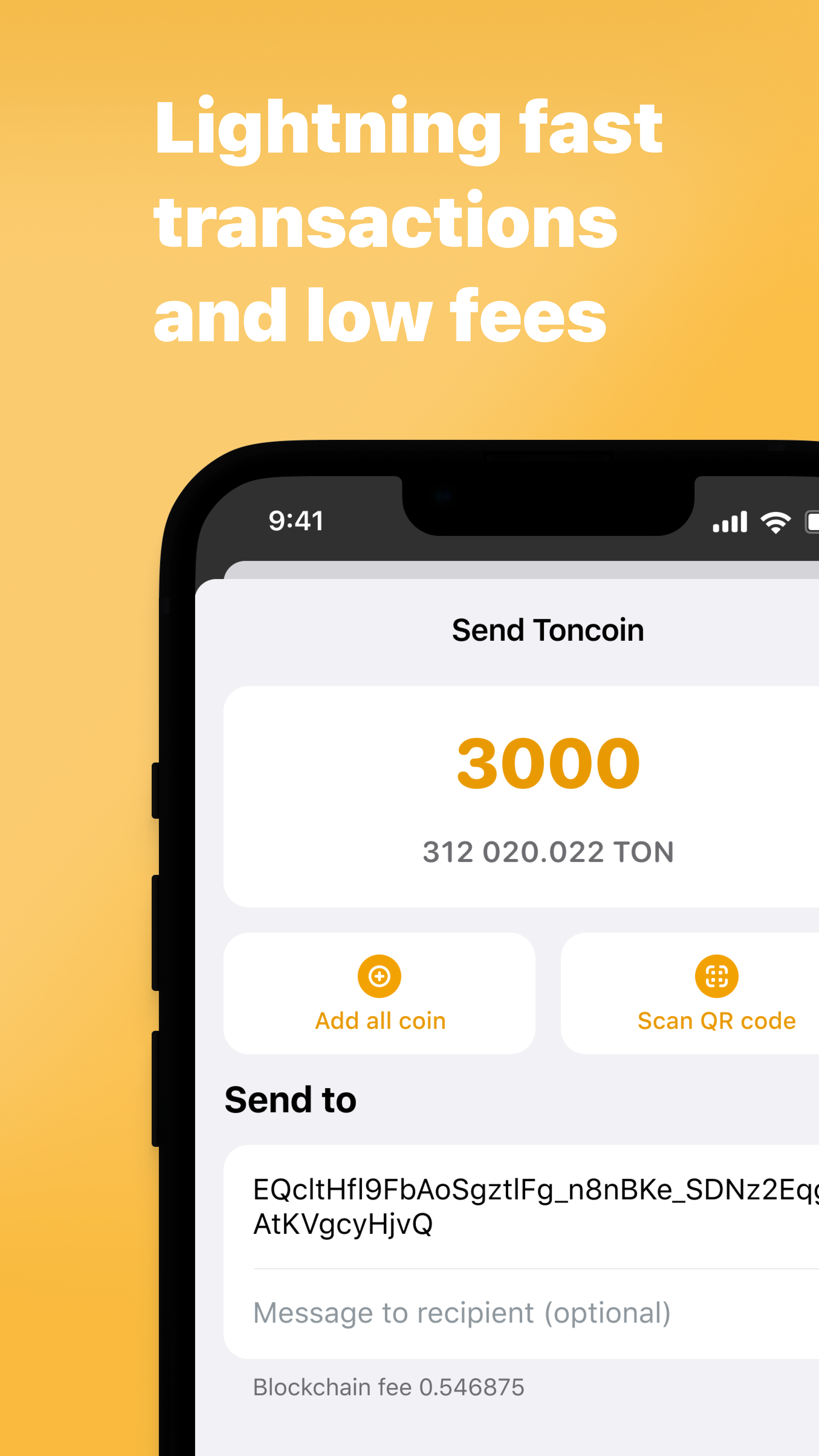 Development Wallet App Image