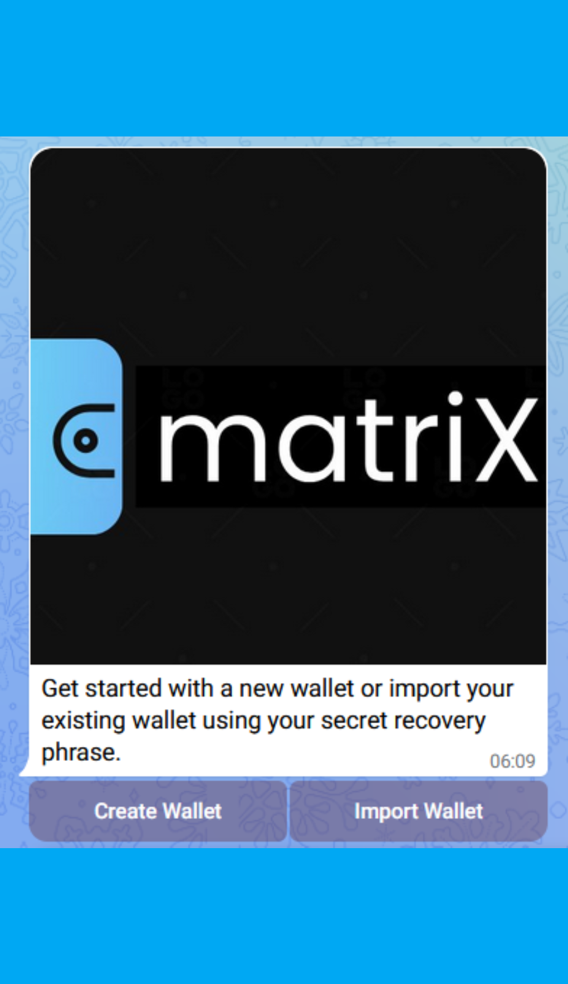 Matrix Wallet App Image