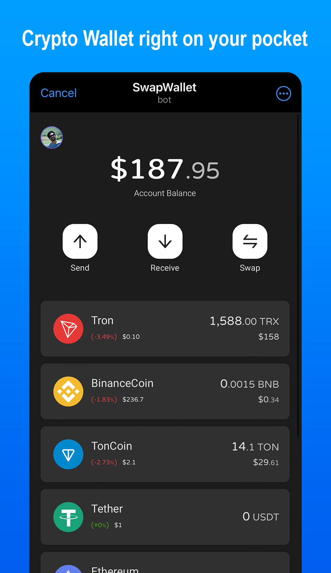 SwapWallet App Image
