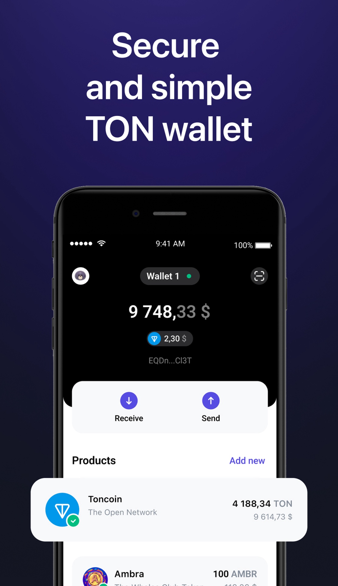 Tonhub App Image