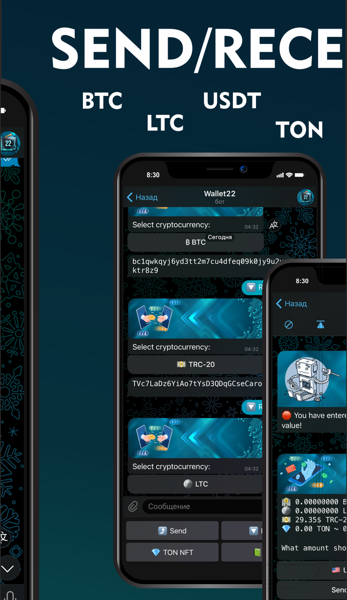 Wallet22 App Image